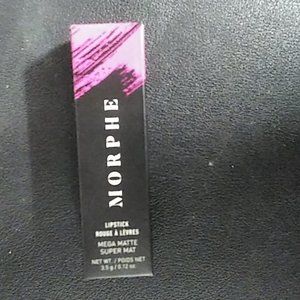 Morphe lipstick in the color in this moment